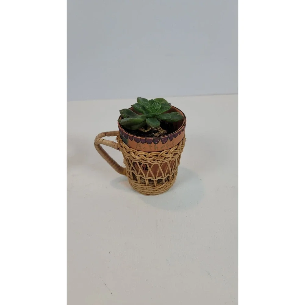 Set‎ Of 4 Vintage Wicker Rattan Cup Glass Holder Round Boho Summer 3.5